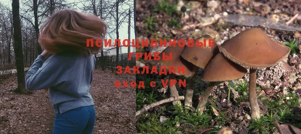 крисы Аркадак