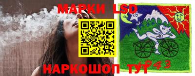 спайс Гатчина