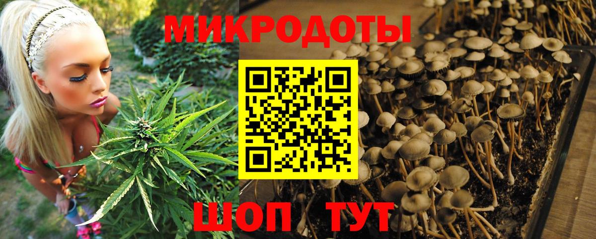 Псилоцибиновые грибы мицелий Губкин